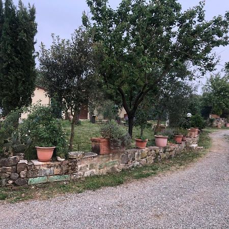 Вилла Agriturismo Oria Bianca Сан-Куйрико-д'Орча Экстерьер фото